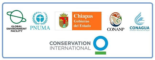 Conservation International Mexico_Convocatoria 2012